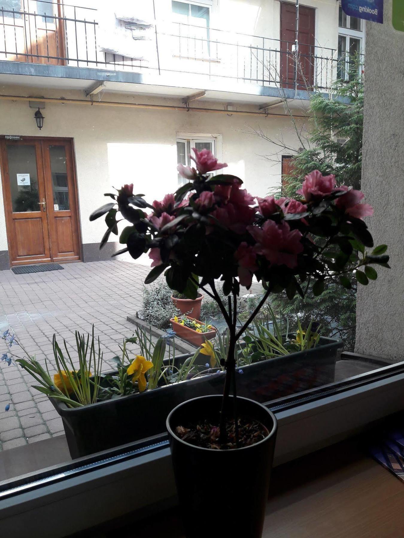 Nobel Aparthotel Cracovia
